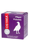 Garvo Pikpot Ostrea Rood 24 st 1 kg