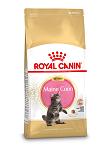 Royal Canin kattenvoer Maine Coon Kitten 400 gr