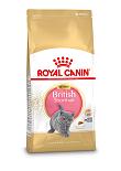 Royal Canin kattenvoer British Shorthair Kitten 400 gr