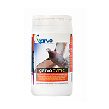 Garvo Garvocyme 500 gr