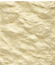 Versele-Laga <br>NutriBird A19 250 gr