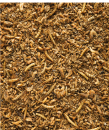 Versele-Laga <br>NutriBird Insect Patee <br>Premium 10 kg