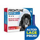 Frontline Spot On XL <br>4 pipetten