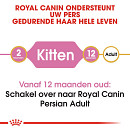 Royal Canin kattenvoer Persian Kitten 2 kg