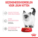 Royal Canin Kattenvoer Kitten 12 x 85 gr