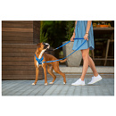 Rogz Hondentuig Utility Stop Pull Blauw