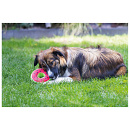 Beeztees Hondenspeelgoed Fruity Donuts Assorti