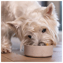 Designed by Lotte Voer- en Drinkbak Noor Bamboo Beige