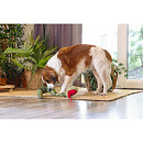 Beeztees Hondenspeelgoed Jungle Kani