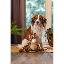 Beeztees Hondenspeelgoed Jungle Giraf