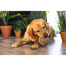 Beeztees Hondenspeelgoed Jungle Bal Panter