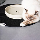 D&D I Love Happy Cats Placemat Jill Zwart