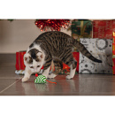 Beeztees Kerst Muizen Rood/Groen 4 st