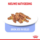 Royal Canin Kattenvoer Indoor in Jelly 12 x 85 gr