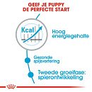 Royal Canin Hondenvoer Giant Junior 3,5 kg