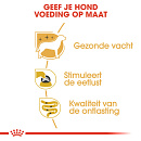 Royal Canin Hondenvoer Yorkshire Terrier Adult 12 x 85 gr