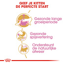 Royal Canin kattenvoer Maine Coon Kitten <br>400 gr
