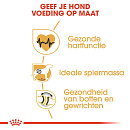 Royal Canin Hondenvoer Rottweiler Adult 12 kg