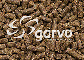 Garvo Maritime met Vis 20 kg