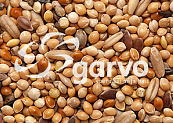 Garvo Parkiet Extra <br>20 kg