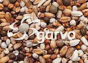 Garvo Haagsche Mix <br>20 kg