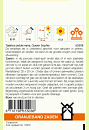 Tagetes Queen Sophia