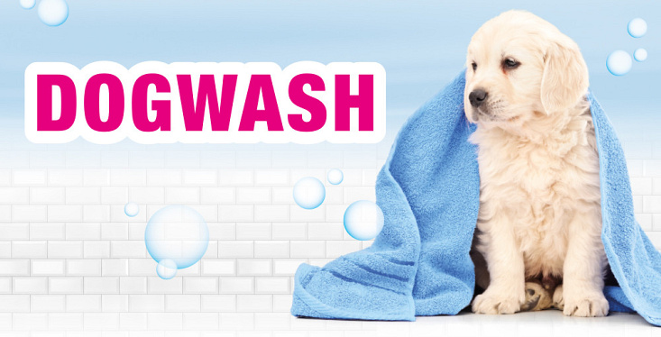 Dogwash in onze winkel