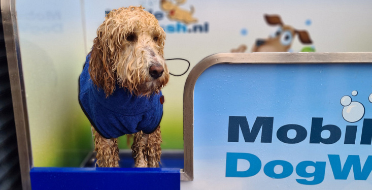 Dogwash in onze winkel