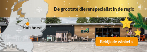 slider winkel avo 475x170 kerst