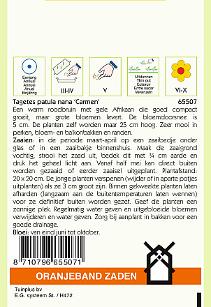 Tagetes Carmen