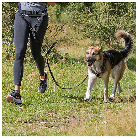 Trixie Hardloopriem Zwart/Grafiet