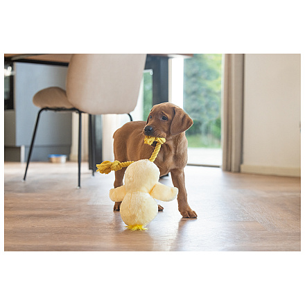 Beeztees Hondenspeelgoed Kuiken Bobbi