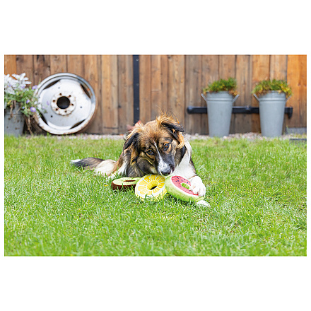 Beeztees Hondenspeelgoed Fruity Donuts Assorti
