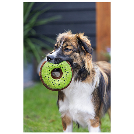 Beeztees Hondenspeelgoed Fruity Donuts Assorti