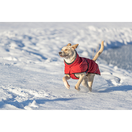 TRIXIE Winterjas Explore Thermo Rood