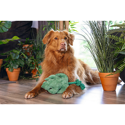 Beeztees Hondenspeelgoed Jungle Blad