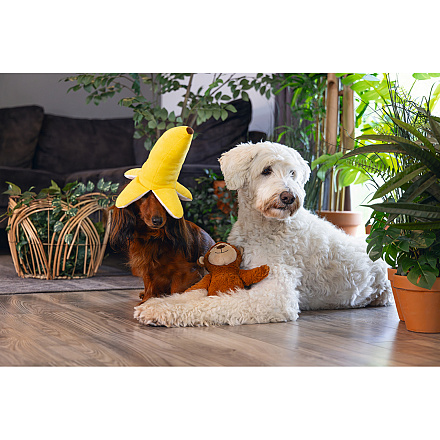 Beeztees Hondenspeelgoed Jungle Biba