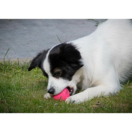 Dog Comets Ball Stardust Roze