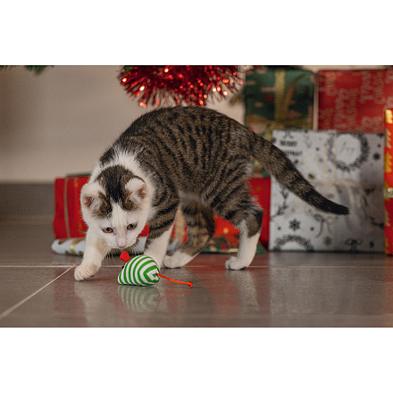 Beeztees Kerst Muizen Rood/Groen 4 st