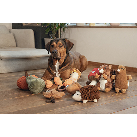 Beeztees Hondenspeelgoed Mol Elis