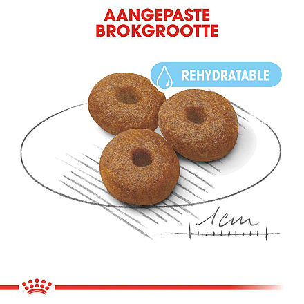 Royal Canin Hondenvoer Maxi Starter 15 kg