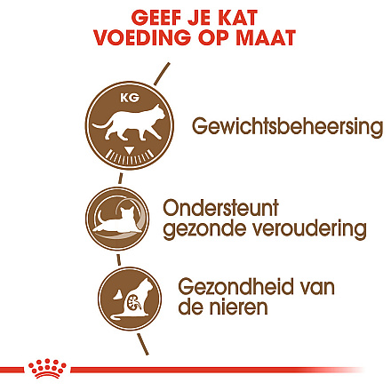 Royal Canin Kattenvoer Ageing 12+ 4 kg