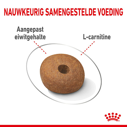 Royal Canin Hondenvoer Light Weight Care Medium 3 kg