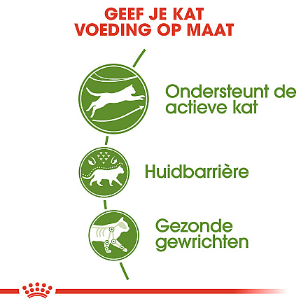 Royal Canin Kattenvoer Outdoor 10 kg