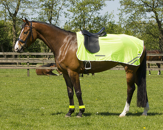 QHP reflectie uitrijdeken geel