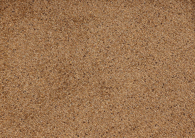 Deli Nature Witzaad - Kanariezaad 20 kg