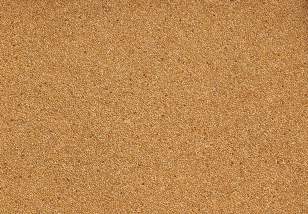 Deli Nature Millet Geel 20 kg