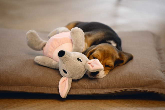 Beeztees Puppy Kangoeroe Ravi Grijs/Roze