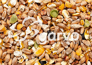 Garvo Scharrelgraan (zonder gerst) 20 kg