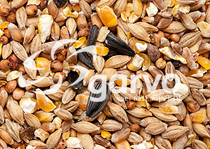 Garvo Gemengd Graan, gebroken mais en zonnepit 20 kg